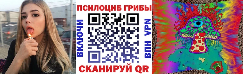 shop как зайти  Мелеуз  Псилоцибиновые грибы Cubensis 